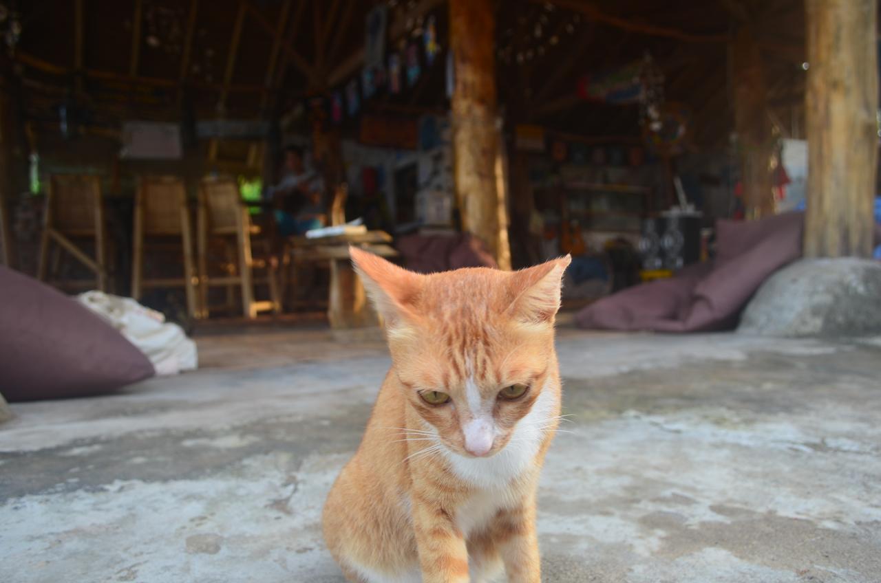 Gili Meno Eco Hostel Екстериор снимка